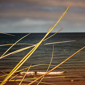 image from "Utah Beach  -  Normandy" by kfphotography
